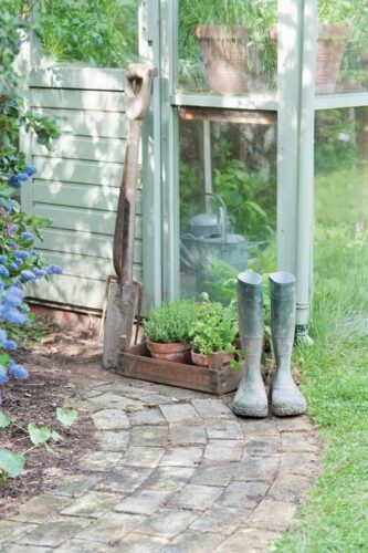 Grow a Summertime Container Garden